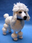 Poodle (Click to read more)