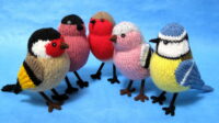 knitted toys of common UK garden birds